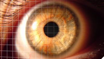 Research Spotlight image