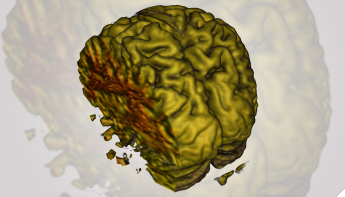 Special Joint Programs image