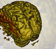 Multidisciplinary image